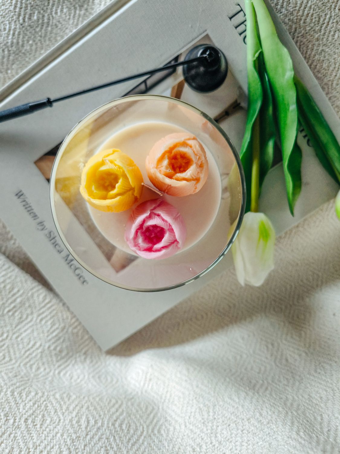 TULIPA