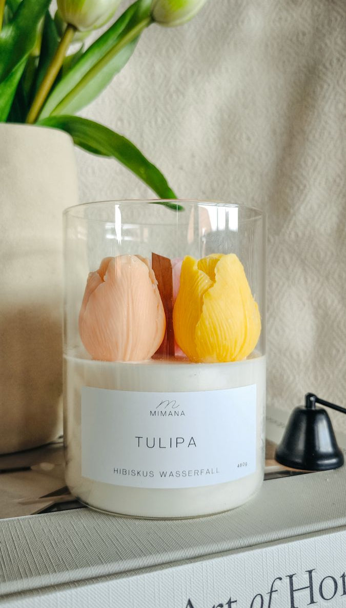 TULIPA